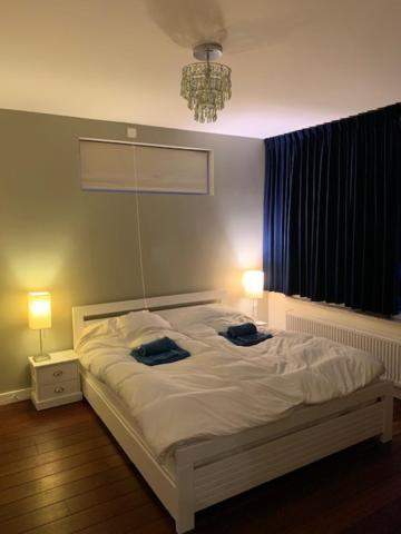 Villa Cosy Central Incl Jacuzzi Near Trainstation, Beach And City Heemstede Kültér fotó