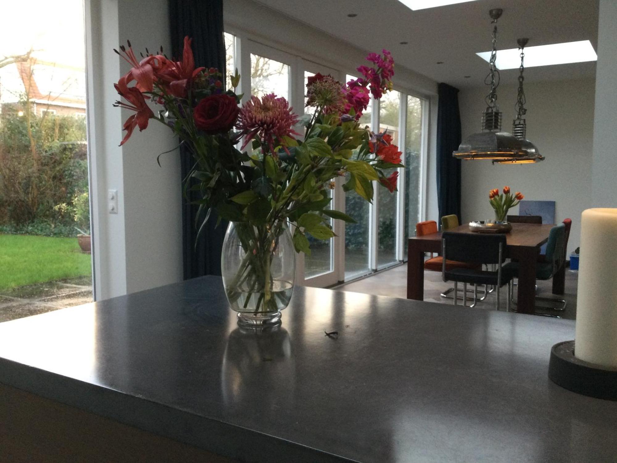 Villa Cosy Central Incl Jacuzzi Near Trainstation, Beach And City Heemstede Kültér fotó